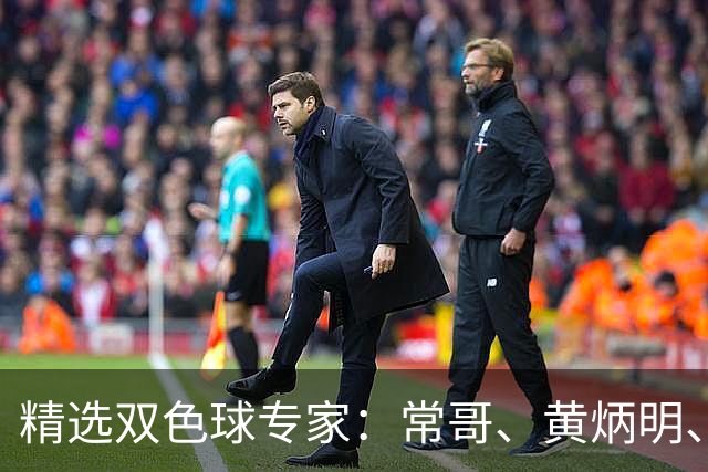 精选双色球专家：常哥、黄炳明、陈哲宇同中781万